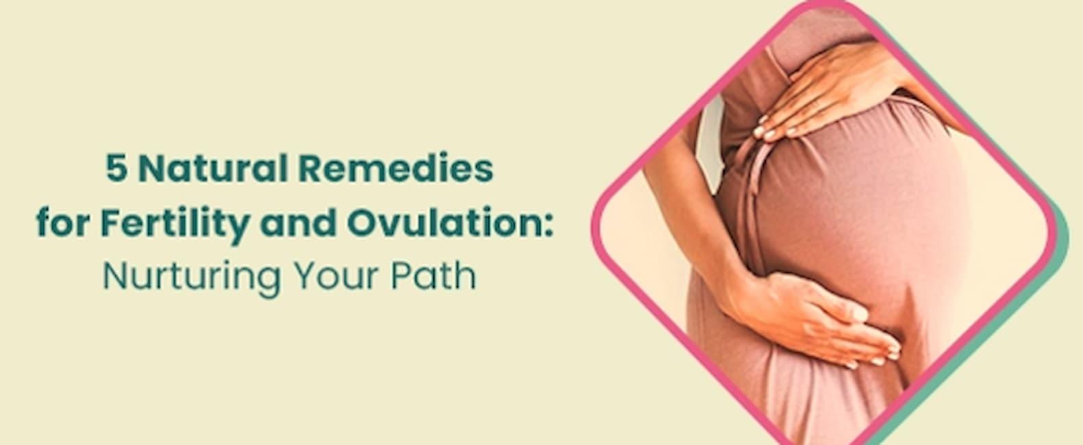 5 Natural Remedies for Fertility and Ovulation - Path to Parenthood